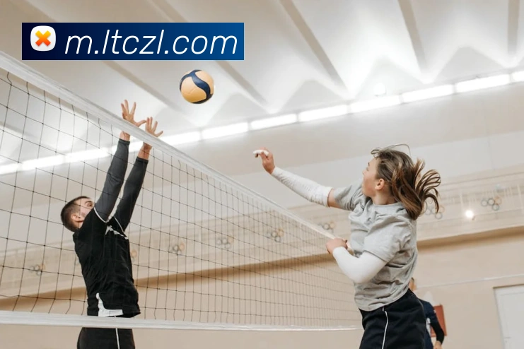 尊龙凯时服务体系